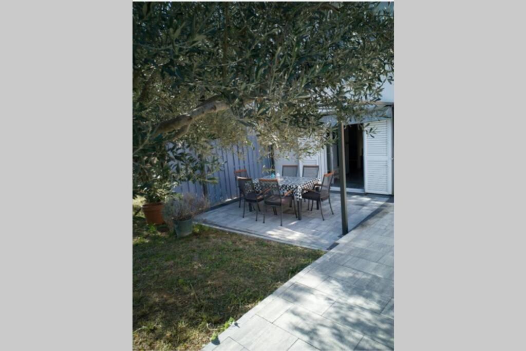 Kati 1 Apartment Sveti Filip i Jakov Bagian luar foto